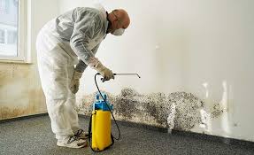  Port Hueneme, CA Mold Removal Pros