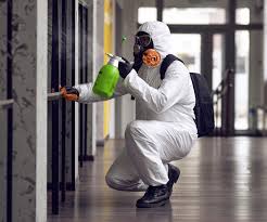 Best Asbestos and Lead Testing During Mold Inspection in Port Hueneme, CA